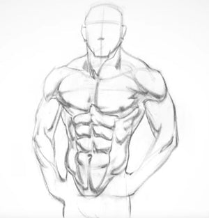 How to Choose the Right Gym Wear for Your Body Type